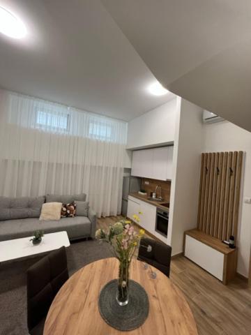 Apartmán Centar Ns 5 Novi Sad Exteriér fotografie
